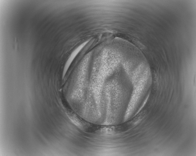 X0000053010080200508051211