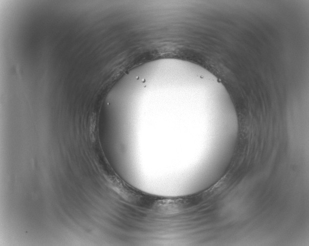 X0000053010082200508051211