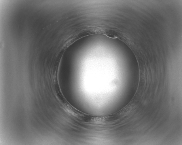 X0000053010084200508051211