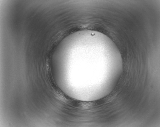 X0000053010085200508051211