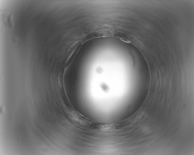 X0000053010088200508051211