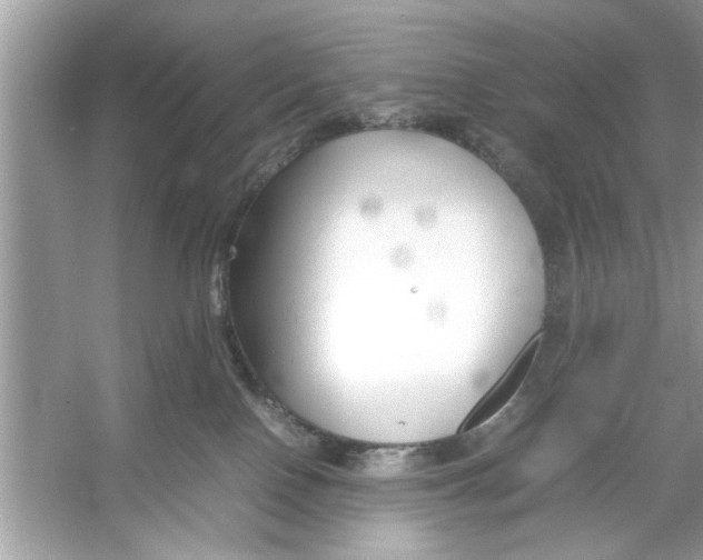 X0000053010090200508051212