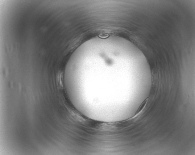 X0000053010094200508051212