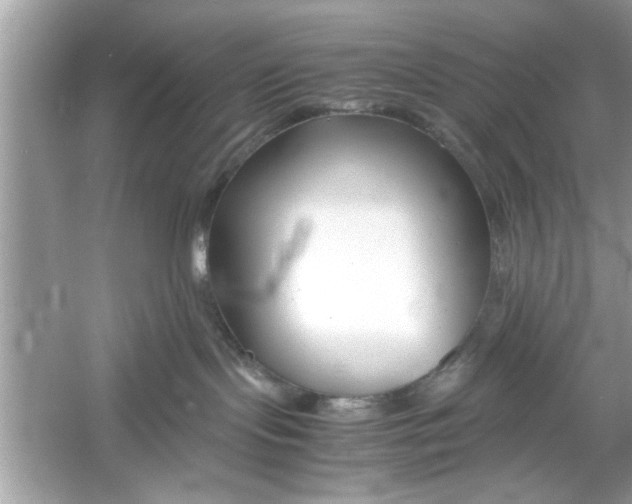 X0000053010095200508051212