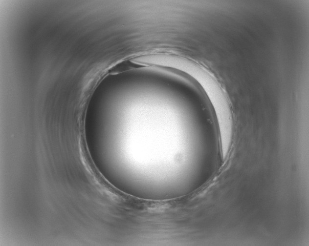 X0000053010097200508051211