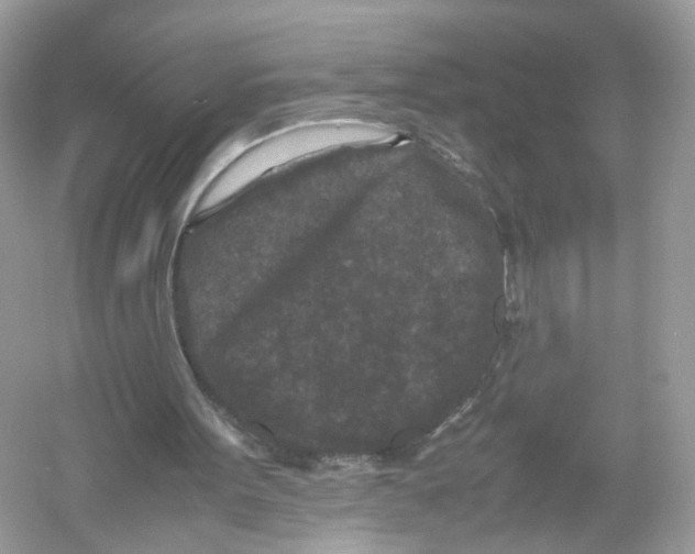 X0000053010099200508051211