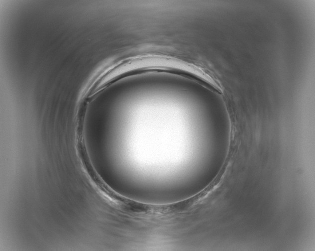 X0000053010101200508051211