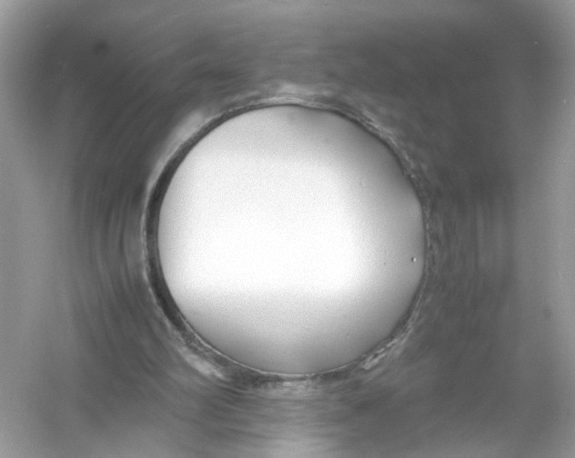 X0000053010102200508051211