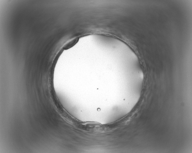 X0000053010103200508051211