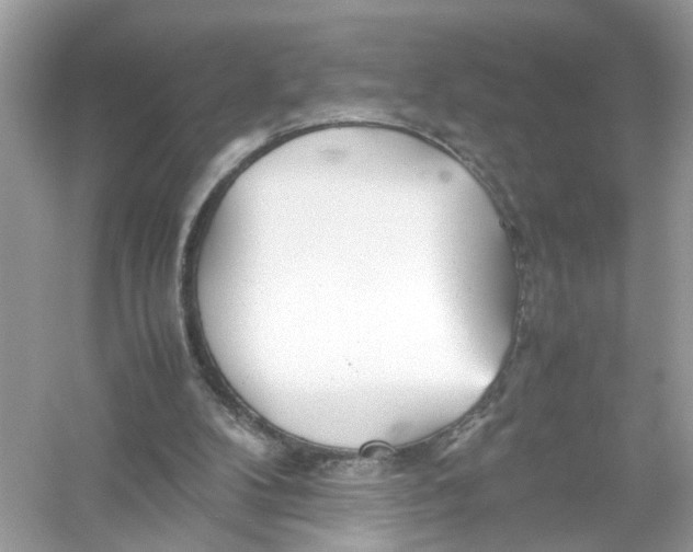 X0000053010104200508051211