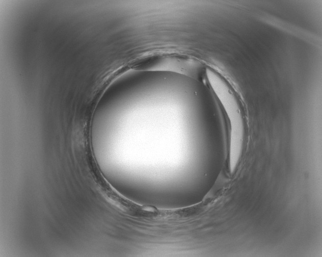 X0000053010105200508051211