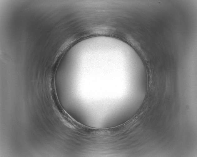 X0000053010106200508051211