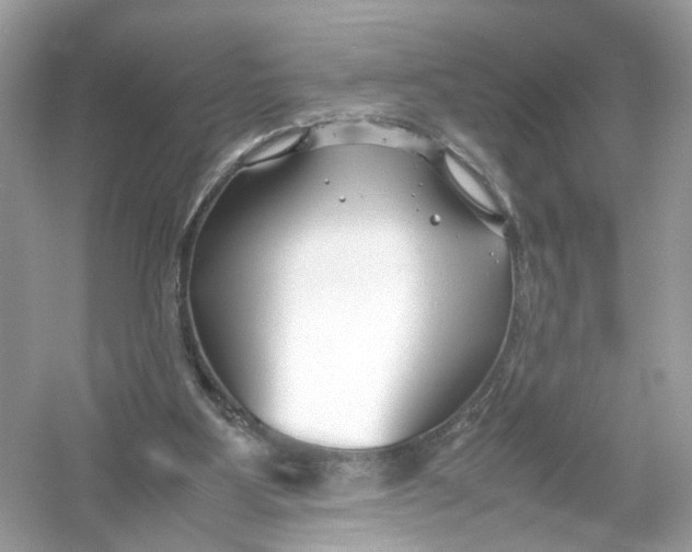 X0000053010107200508051211