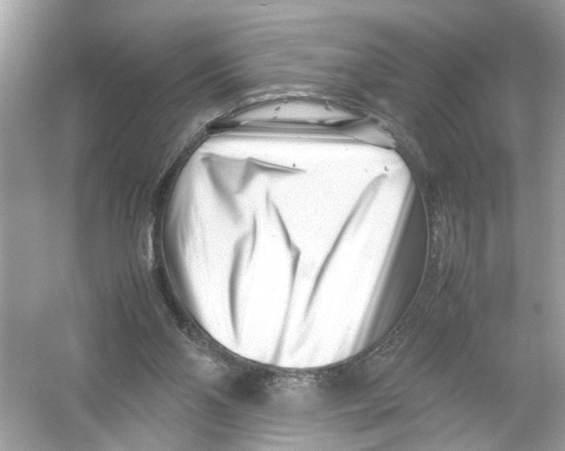 X0000053010110200508051211