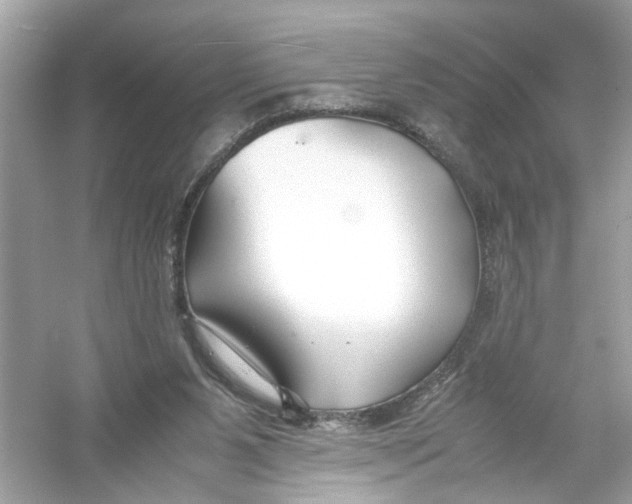 X0000053010111200508051211