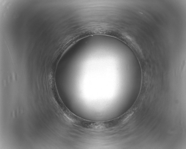 X0000053010113200508051211