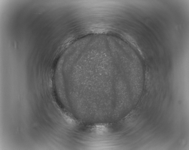 X0000053010114200508051211