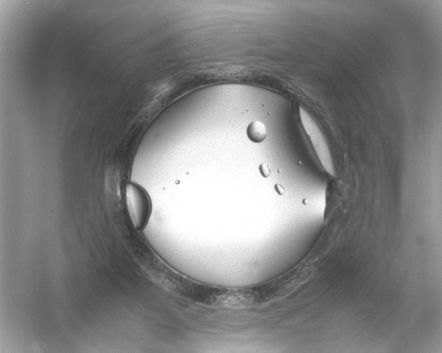 X0000053010115200508051210