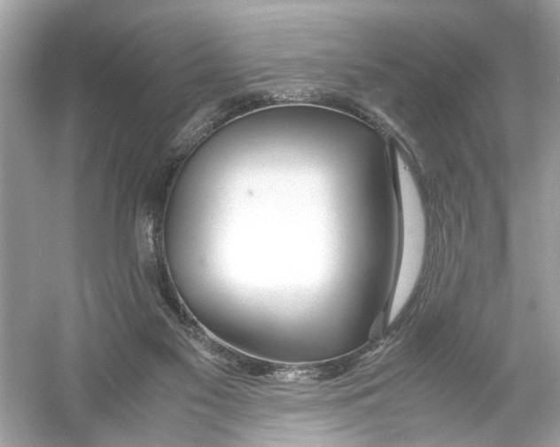 X0000053010117200508051210