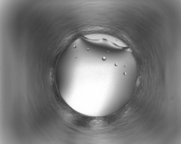 X0000053010119200508051210