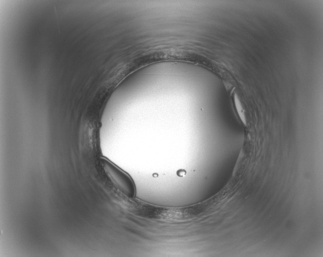 X0000053010123200508051210