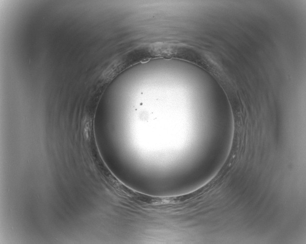 X0000053010125200508051210