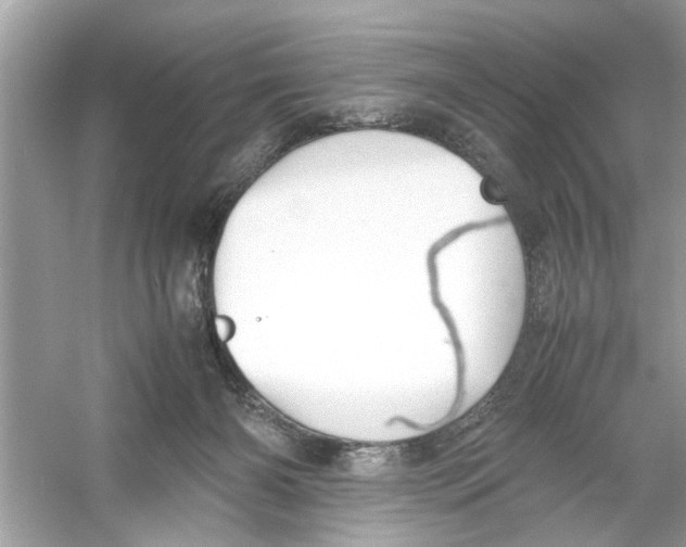 X0000053010126200508051210