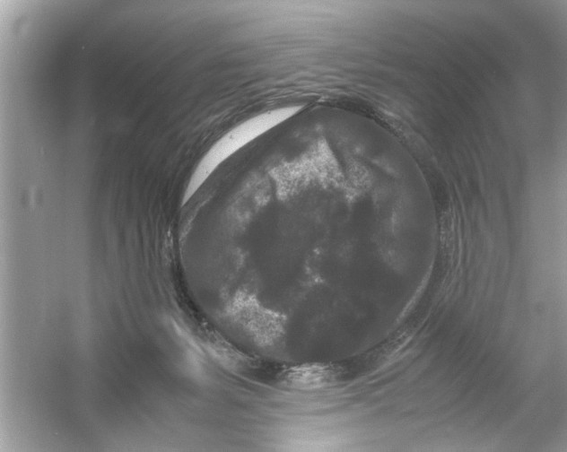 X0000053010127200508051210