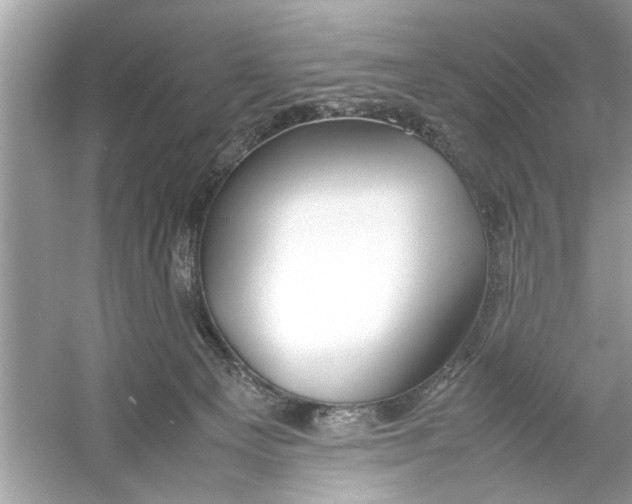 X0000053010129200508051210