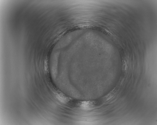 X0000053010130200508051210