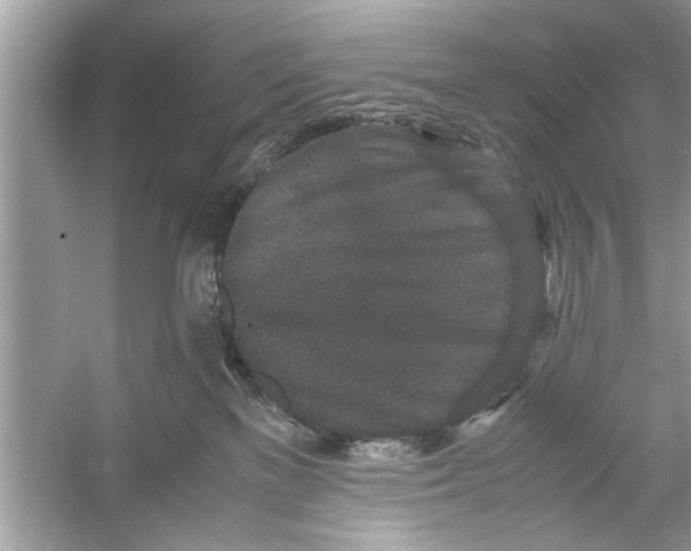 X0000053010137200508051210