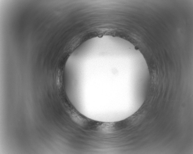 X0000053010138200508051210