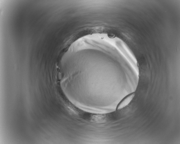 X0000053010139200508051210