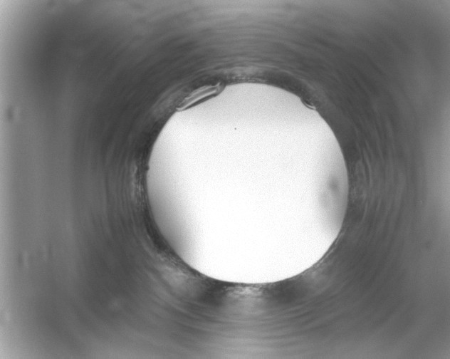 X0000053010140200508051210