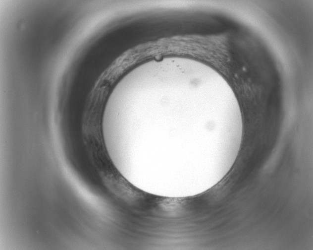 X0000053010142200508051210