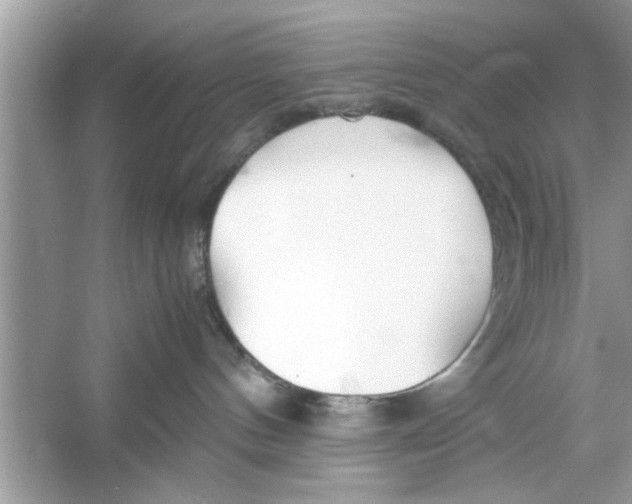 X0000053010144200508051210