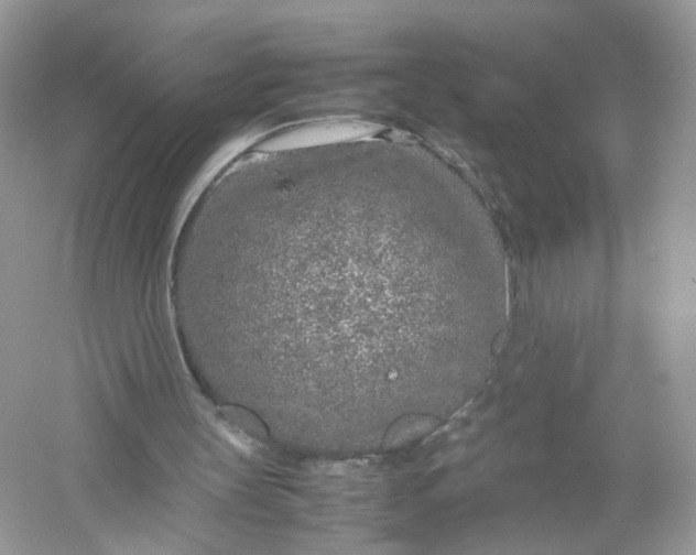 X0000053010147200508051209