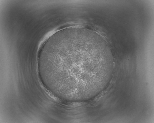 X0000053010149200508051209