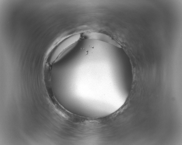 X0000053010150200508051209