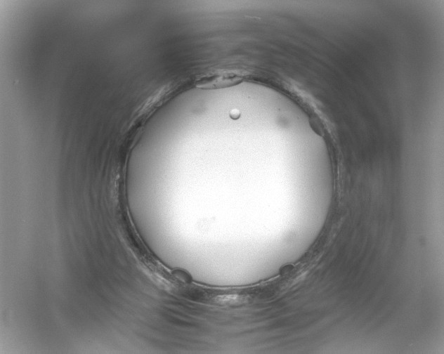 X0000053010153200508051209