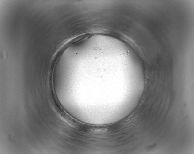 X0000053010155200508051209