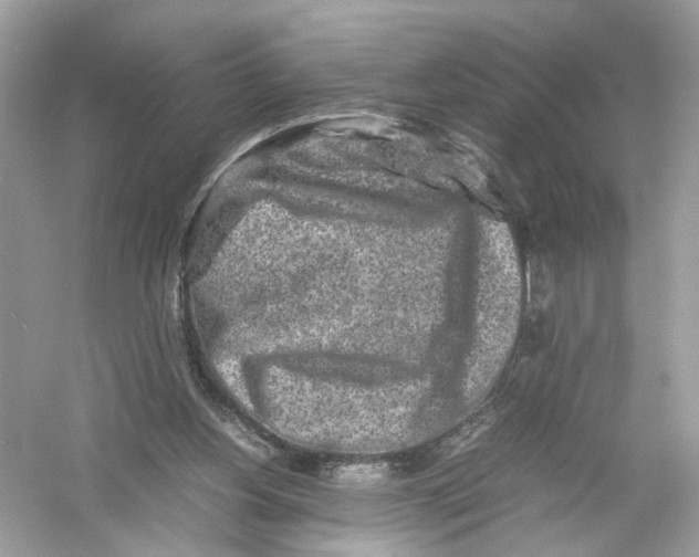 X0000053010156200508051209