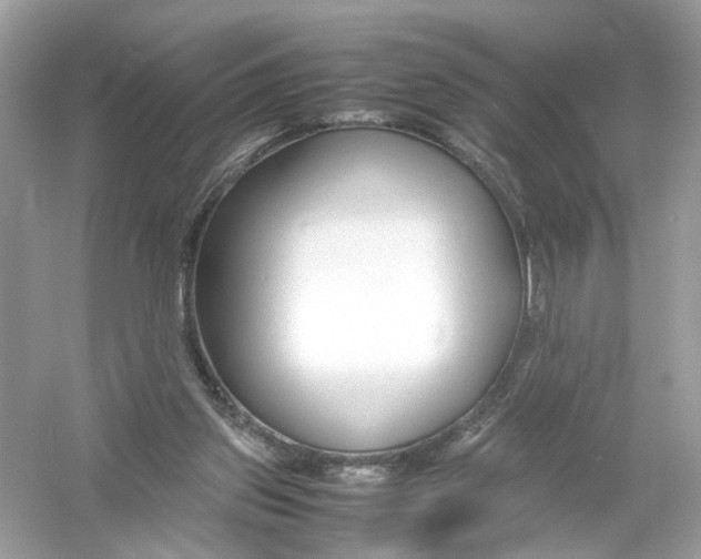 X0000053010157200508051209