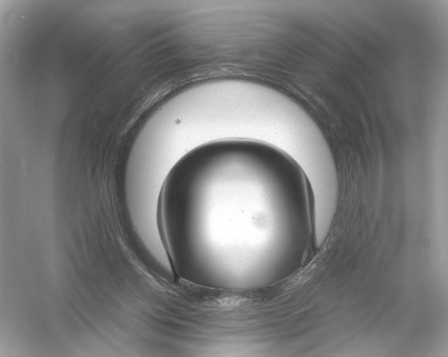 X0000053010158200508051209