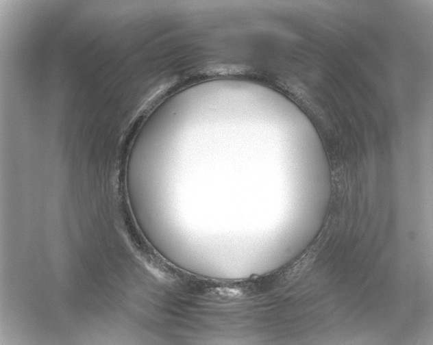 X0000053010159200508051209