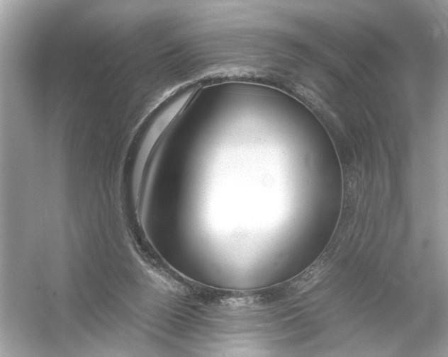 X0000053010160200508051209