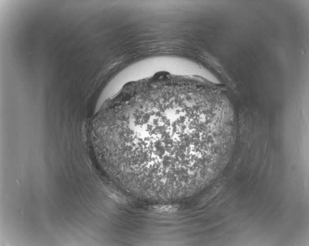 X0000053010161200508051209