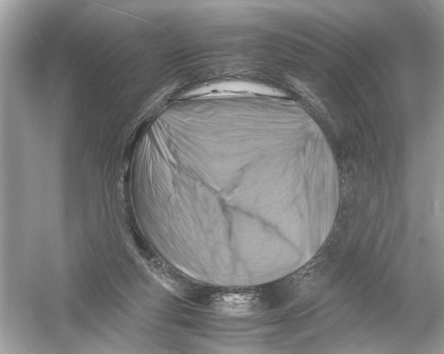 X0000053010163200508051209