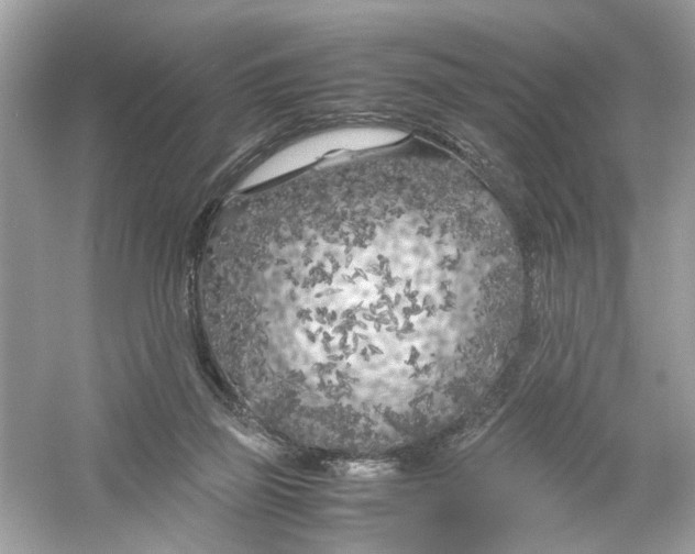 X0000053010165200508051210