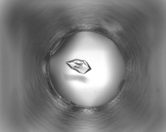 X0000053010166200508051210